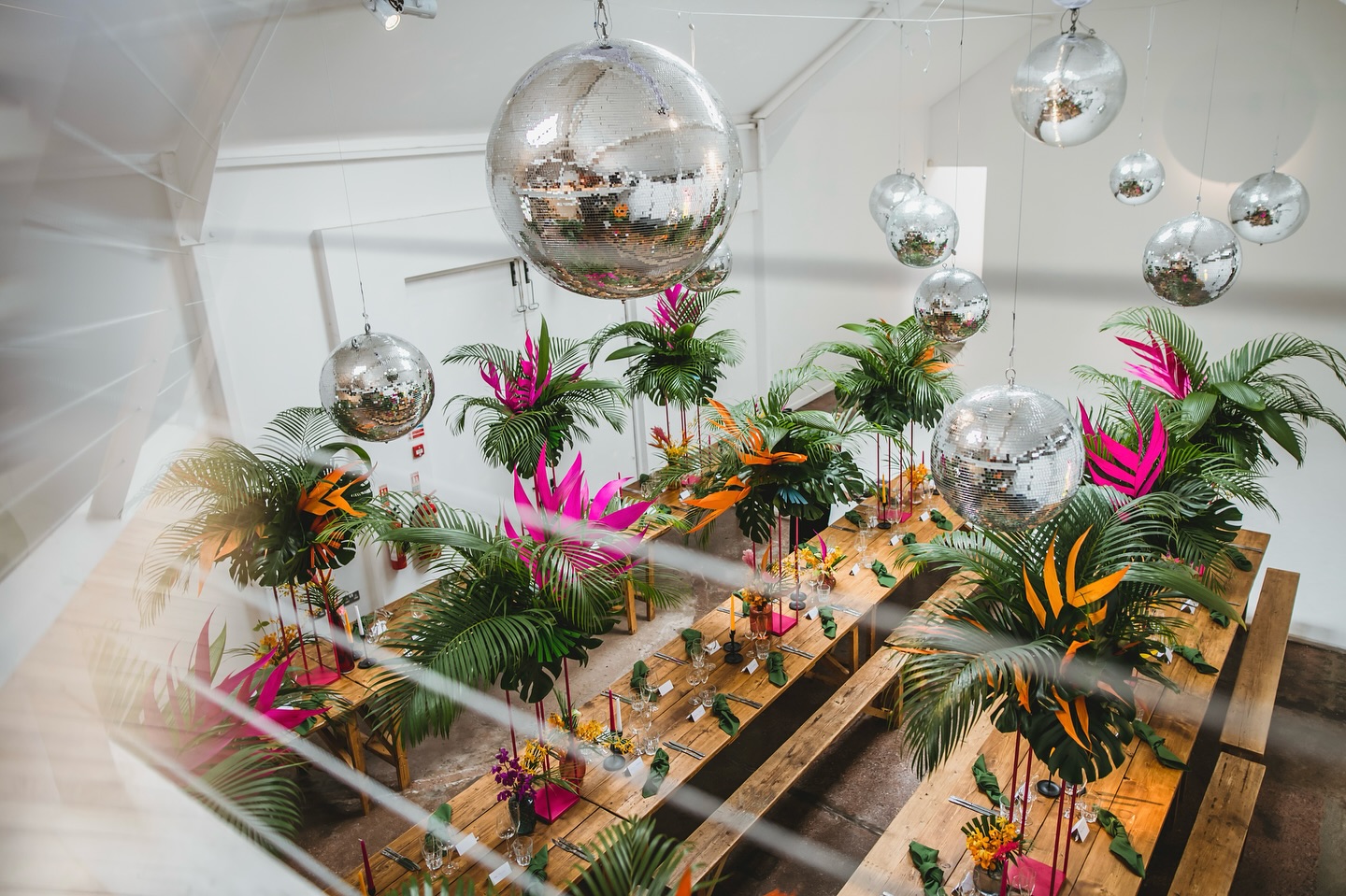 A tropical disco heaven for James & Esme 🌴🪩

📸 : @pixiesinthecellar 
🪩 : @hipswinguk 
🌴: @frogmcr 

#fivefourstudios