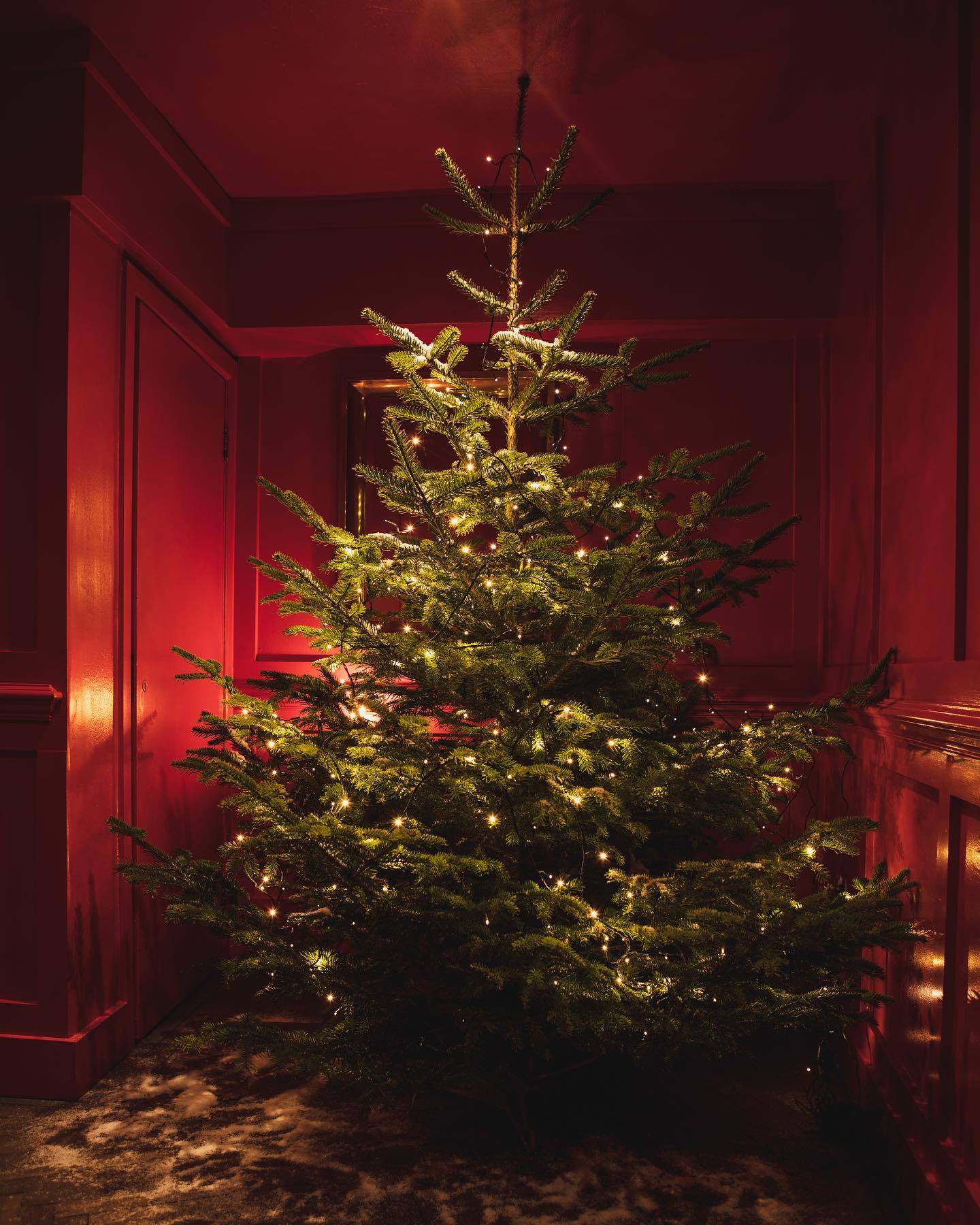 Christmas Parties for 2023 are now live ???? …

Our Christmas party packages allow you to celebrate the festive season with a touch of decadence in an exclusive and intimate environment.

More information available on our website via the link in our bio! 

#christmas #christmasparty #party #xmas #christmaspartyideas #christmaspartydecor #christmastree #events #eventlocation #eventvenue #venue #venuehire #venuehiremanchester #corporatechristmasparty #corporateevents #manchestervenue #fivefourstudios #manchester